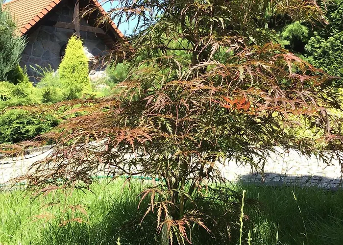 Nad Jeziorem Bialym *